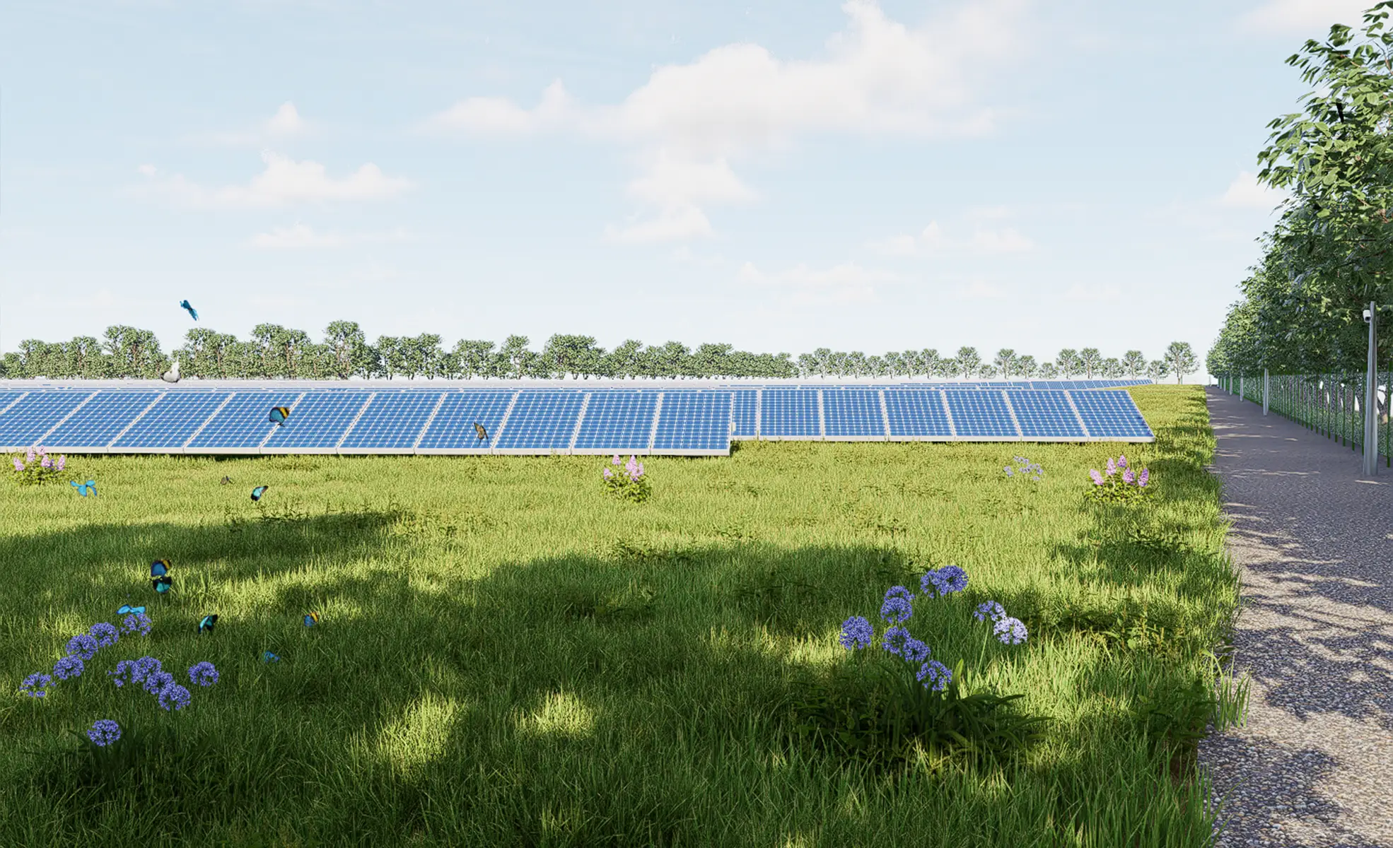 Impianto Fotovoltaico Minerbio e Malalbergo 3